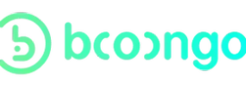 Booongo game provider